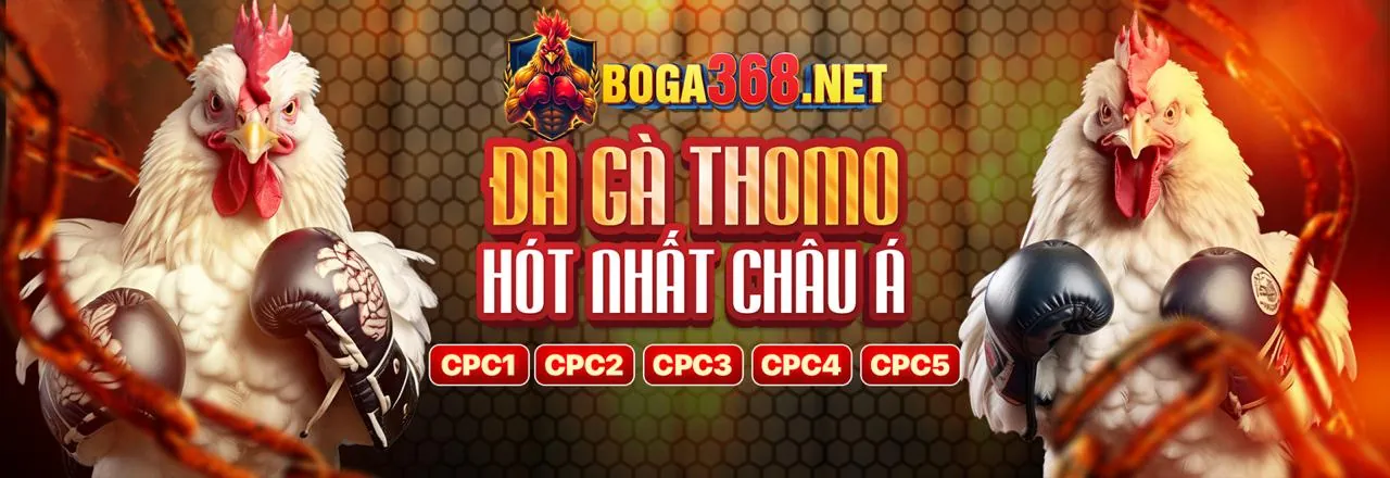 Đá gà kịch tính tại đấu trường trực tuyến sportsbet